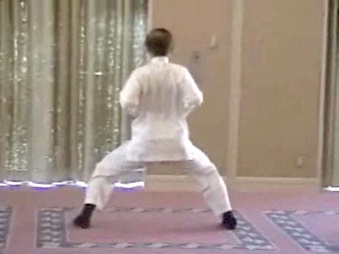 Wahnam Taijiquan