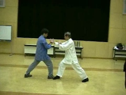 Wahnam Taijiquan