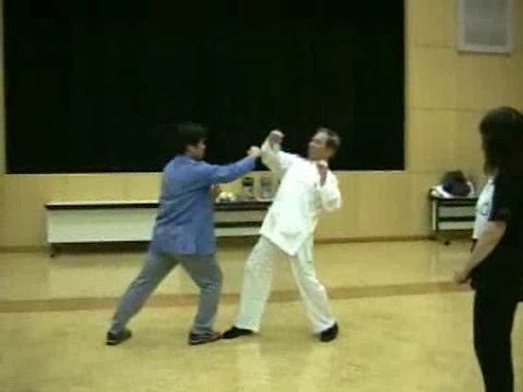 Wahnam Taijiquan