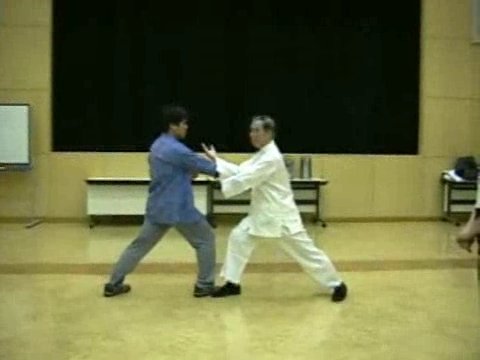 Wahnam Taijiquan