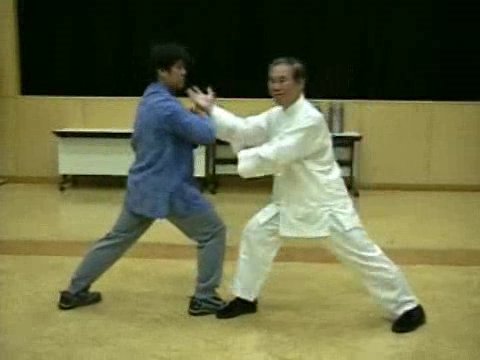 Wahnam Taijiquan