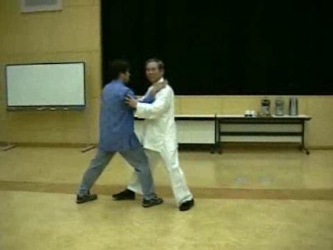 Wahnam Taijiquan