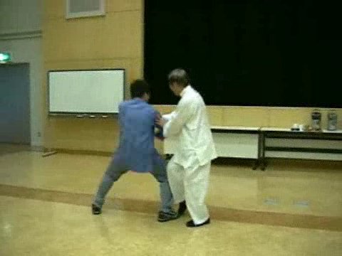 Wahnam Taijiquan