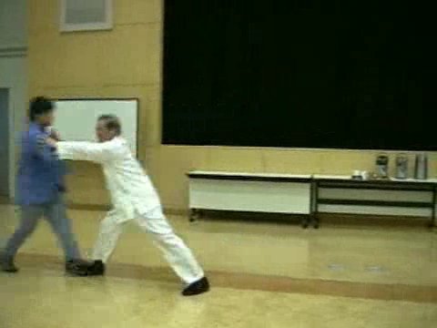 Wahnam Taijiquan