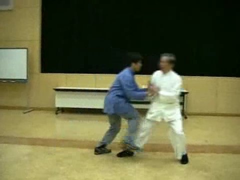 Wahnam Taijiquan, Tai Chi Chuan