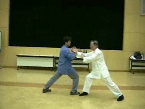 Wahnam Taijiquan