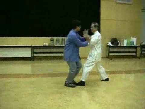 Wahnam Taijiquan