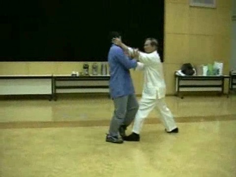 Wahnam Taijiquan