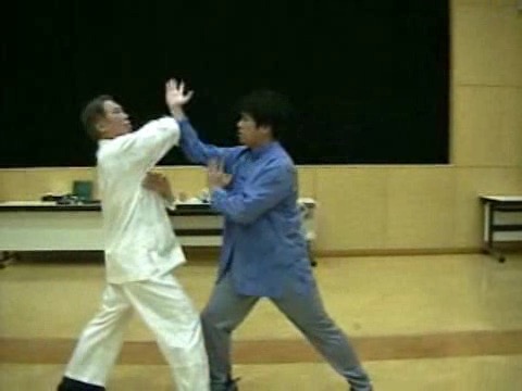 Wahnam Taijiquan