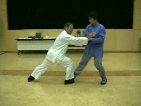 Wahnam Taijiquan