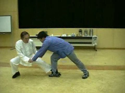 Wahnam Taijiquan