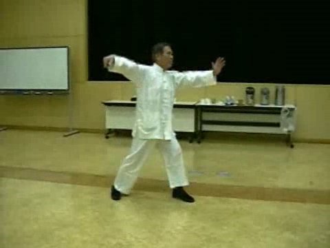 Wahnam Taijiquan