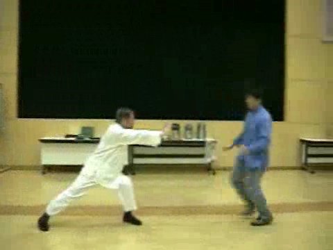 Wahnam Taijiquan