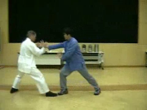 Wahnam Taijiquan