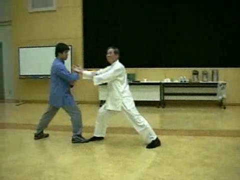 Wahnam Taijiquan