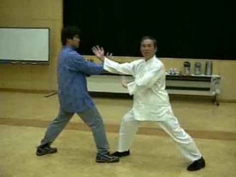 Wahnam Taijiquan