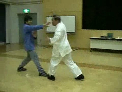 Wahnam Taijiquan