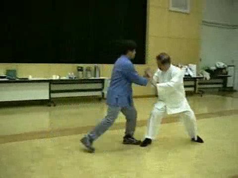 Wahnam Taijiquan