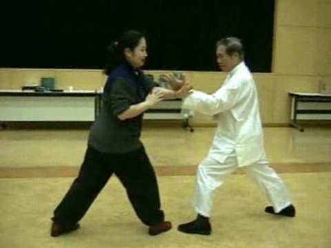 Wahnam Taijiquan