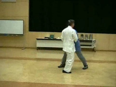 Wahnam Taijiquan