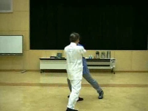 Wahnam Taijiquan