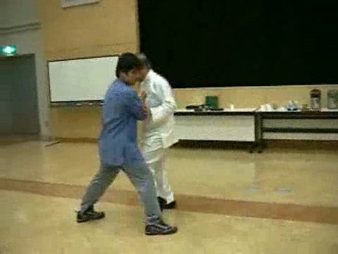 Wahnam Taijiquan, Tai Chi Chuan