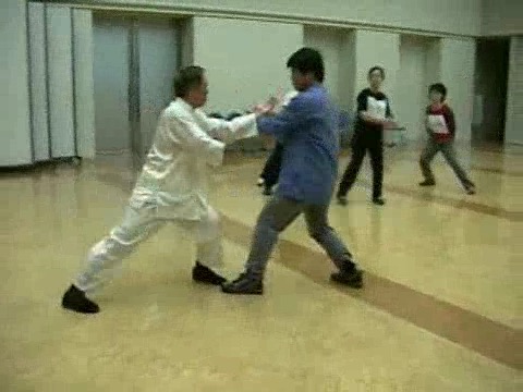 Wahnam Taijiquan