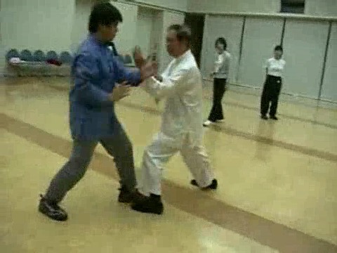 Wahnam Taijiquan