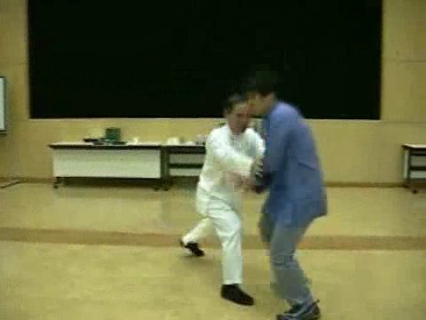 Wahnam Taijiquan