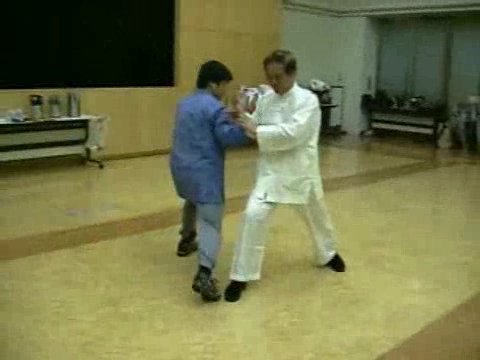 Wahnam Taijiquan