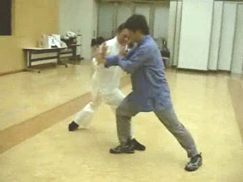 Taijiquan