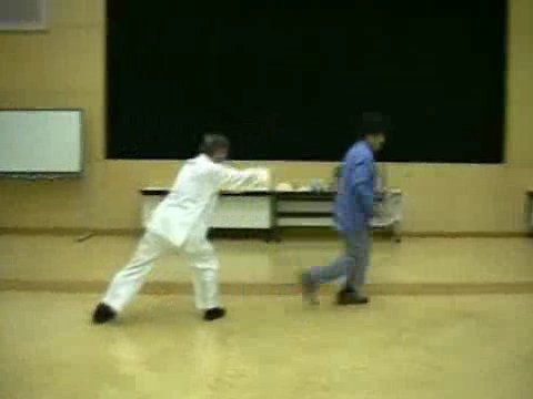 Wahnam Taijiquan