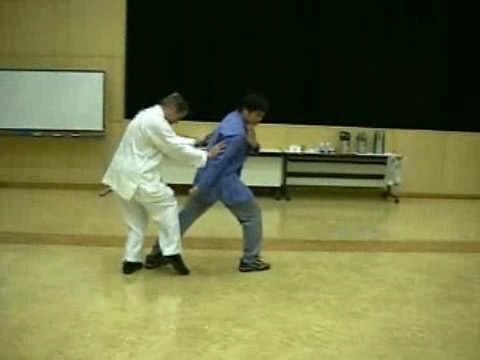 Wahnam Taijiquan