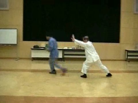 Wahnam Taijiquan