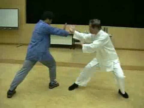 Wahnam Taijiquan