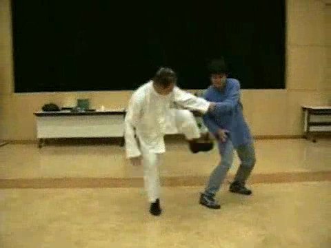 Wahnam Taijiquan