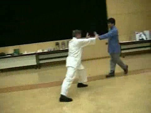 Wahnam Taijiquan