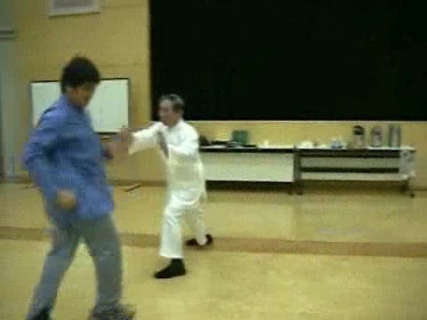 Wahnam Taijiquan