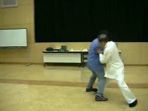 Wahnam Taijiquan