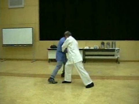 Wahnam Taijiquan