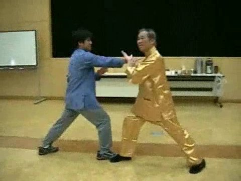 Wahnam Taijiquan, Tai Chi Chuan