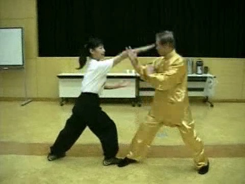 Wahnam Taijiquan