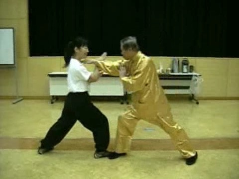 Wahnam Taijiquan