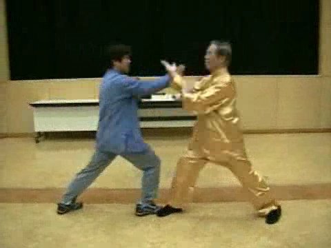 Wahnam Taijiquan