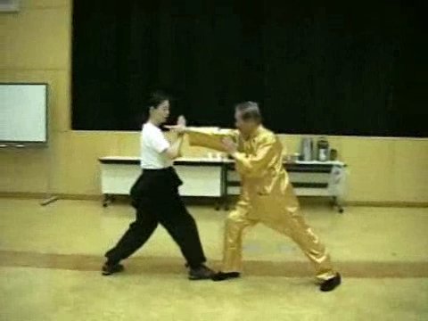 Wahnam Taijiquan