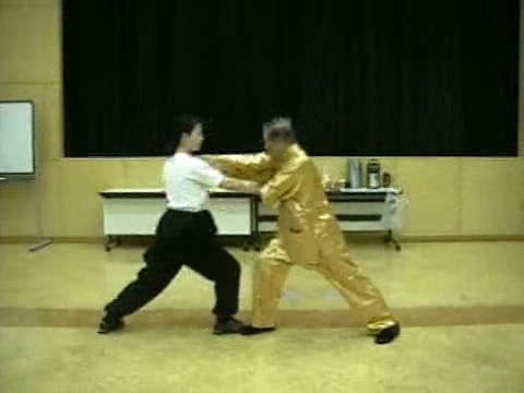 Wahnam Taijiquan