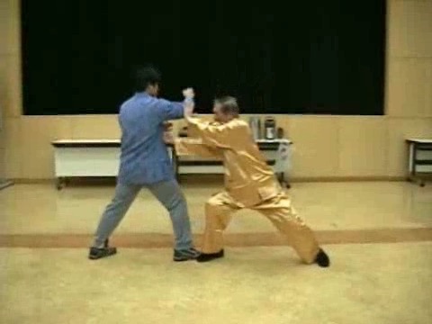 Wahnam Taijiquan