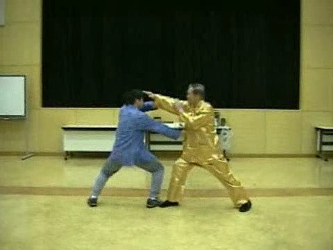 Wahnam Taijiquan