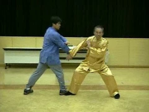 Wahnam Taijiquan