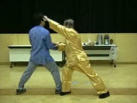 Wahnam Taijiquan